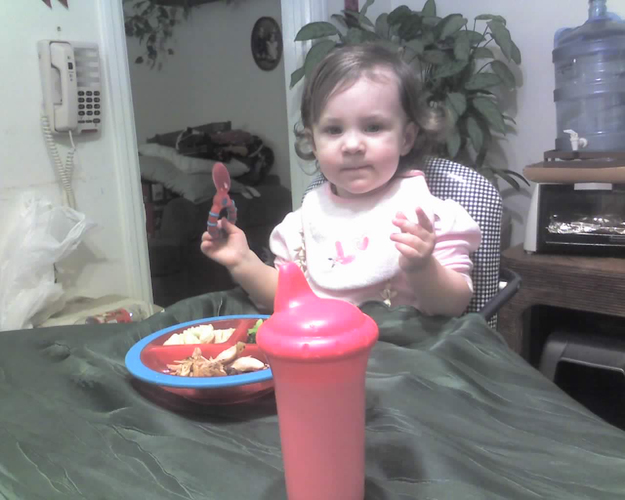 apr10dinner.jpg